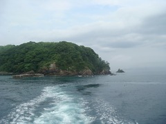 DSC06481