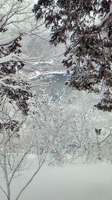 126708f4.jpg