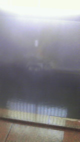 2f3856b0.jpg