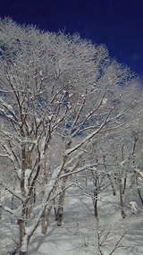 3ebb9801.jpg