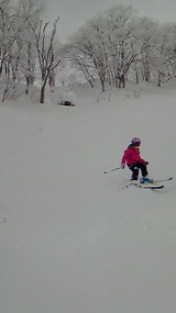 875963cc.jpg