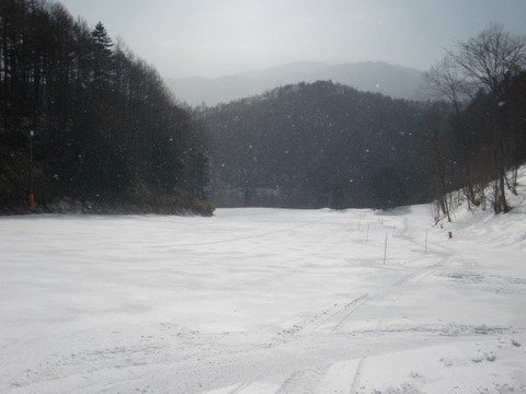 CIMG0253