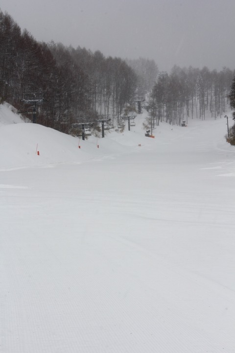 aIMG_0587