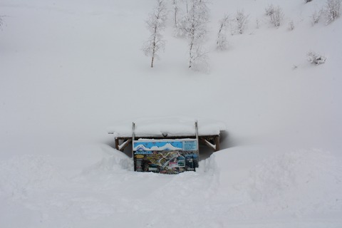 aIMG_0578