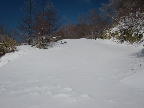 CIMG6558