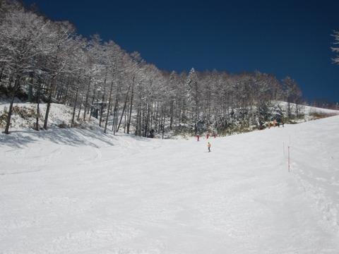 CIMG6550