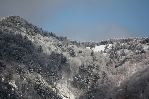 aIMG_9737