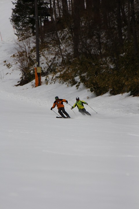 aIMG_8248