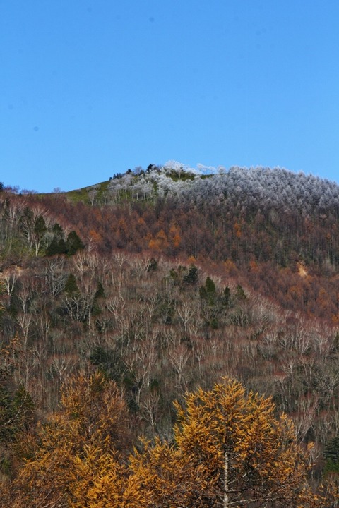 aIMG_0792 (853x1280)
