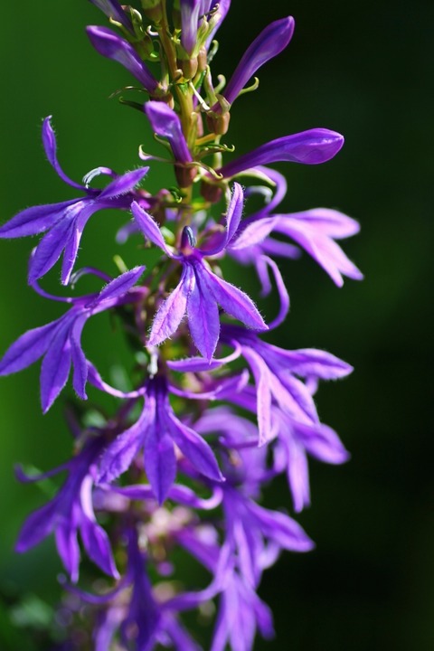 aIMG_4845 (853x1280)