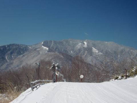 CIMG6557