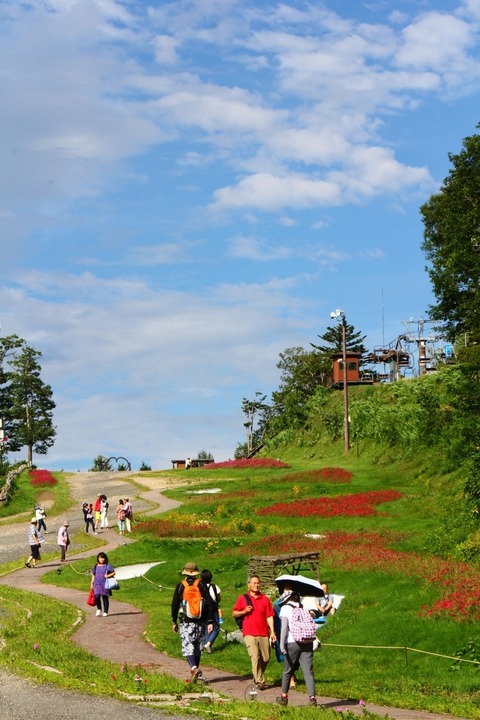 aIMG_4858 (853x1280)