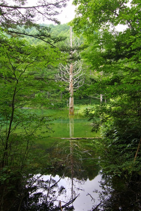 aIMG_4708 (853x1280)