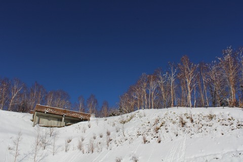 aIMG_3420