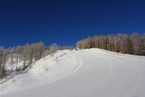 aIMG_4782
