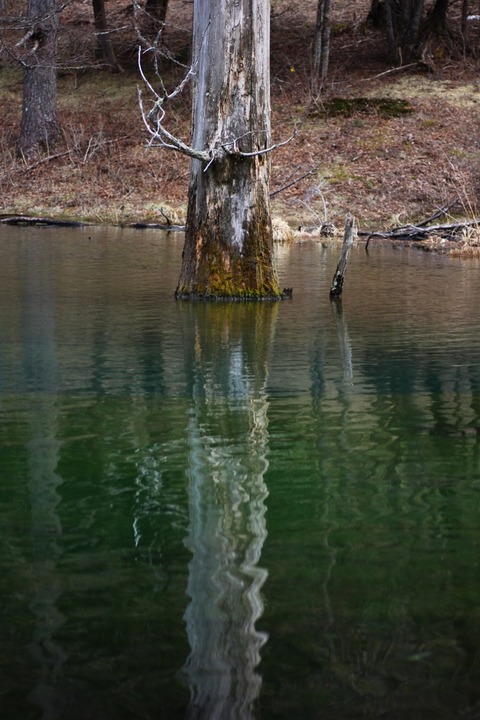 aIMG_3177 (853x1280)