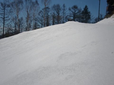 CIMG0293