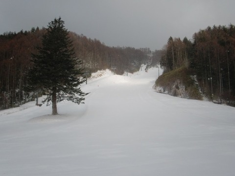 CIMG0243