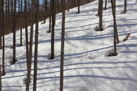 aIMG_4355