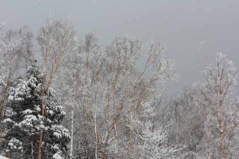 aIMG_0577