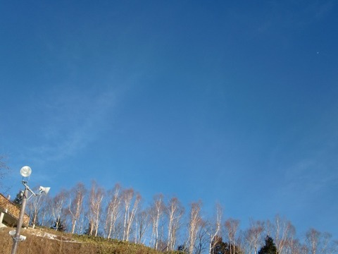 CIMG7339