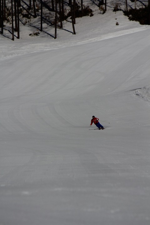 aIMG_4375