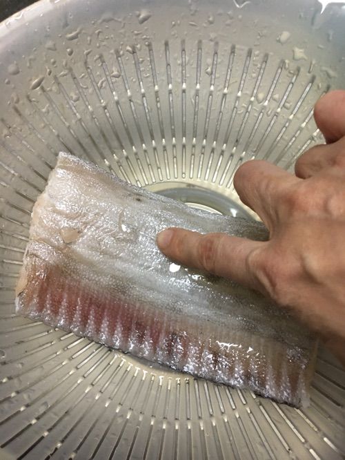 捨てて何もない家に * まちエモン* リュウグウノツカイ食べ