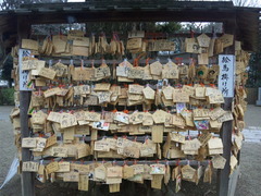 鷲宮神社絵馬20110214子