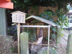鷲宮神社・源頼朝