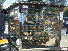 鷲宮神社絵馬外し3