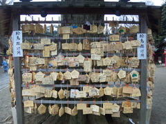 鷲宮神社絵馬20110214辰