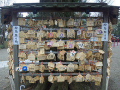 鷲宮神社絵馬20110214寅