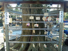 鷲宮神社絵馬回収後