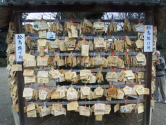 鷲宮神社絵馬20110214戌