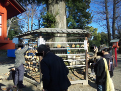 鷲宮神社絵馬外し8