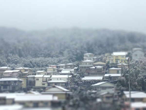 雪の日