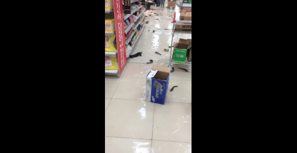 201802080401