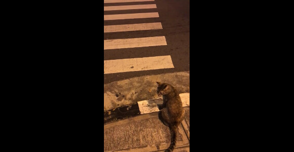 201802120301