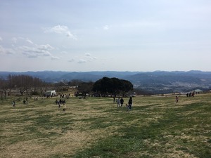 3822a22e.jpg
