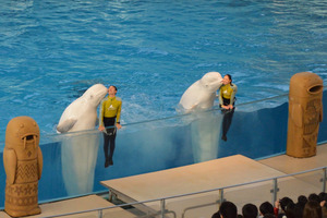 DSC_0204_180224_164648