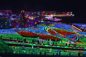 8aa97e45.jpg
