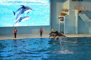 DSC_0246_180224_165817