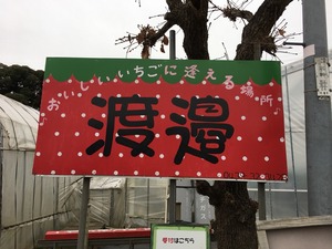 cf4c8e84.jpg