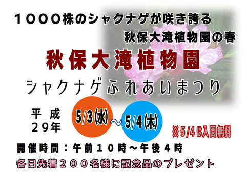 akiu1