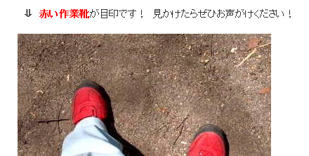 akaikutsu