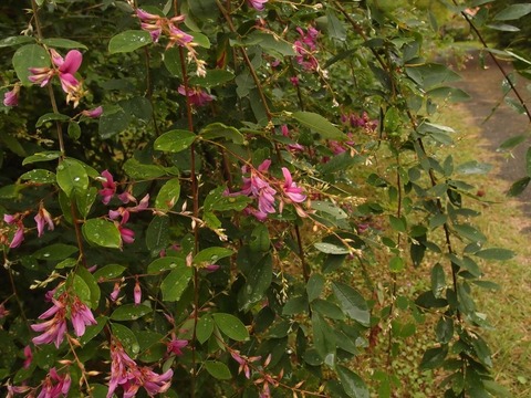 P9120247_R