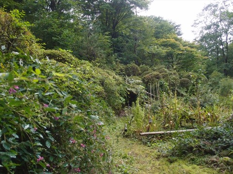 P9120300_R
