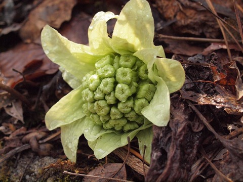 P3250325_R