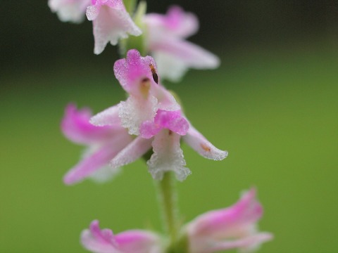P7285029_R