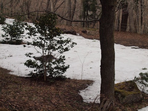 P3250364_R